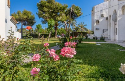 Revente - Attique - Torrevieja - Calas blanca