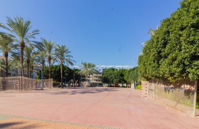 Alquiler a largo plazo - Local comercial - Orihuela - Barrio de la Ocarasa