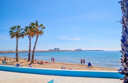 Reventa - Apartamento - Torrevieja - Playa de los Naufragos