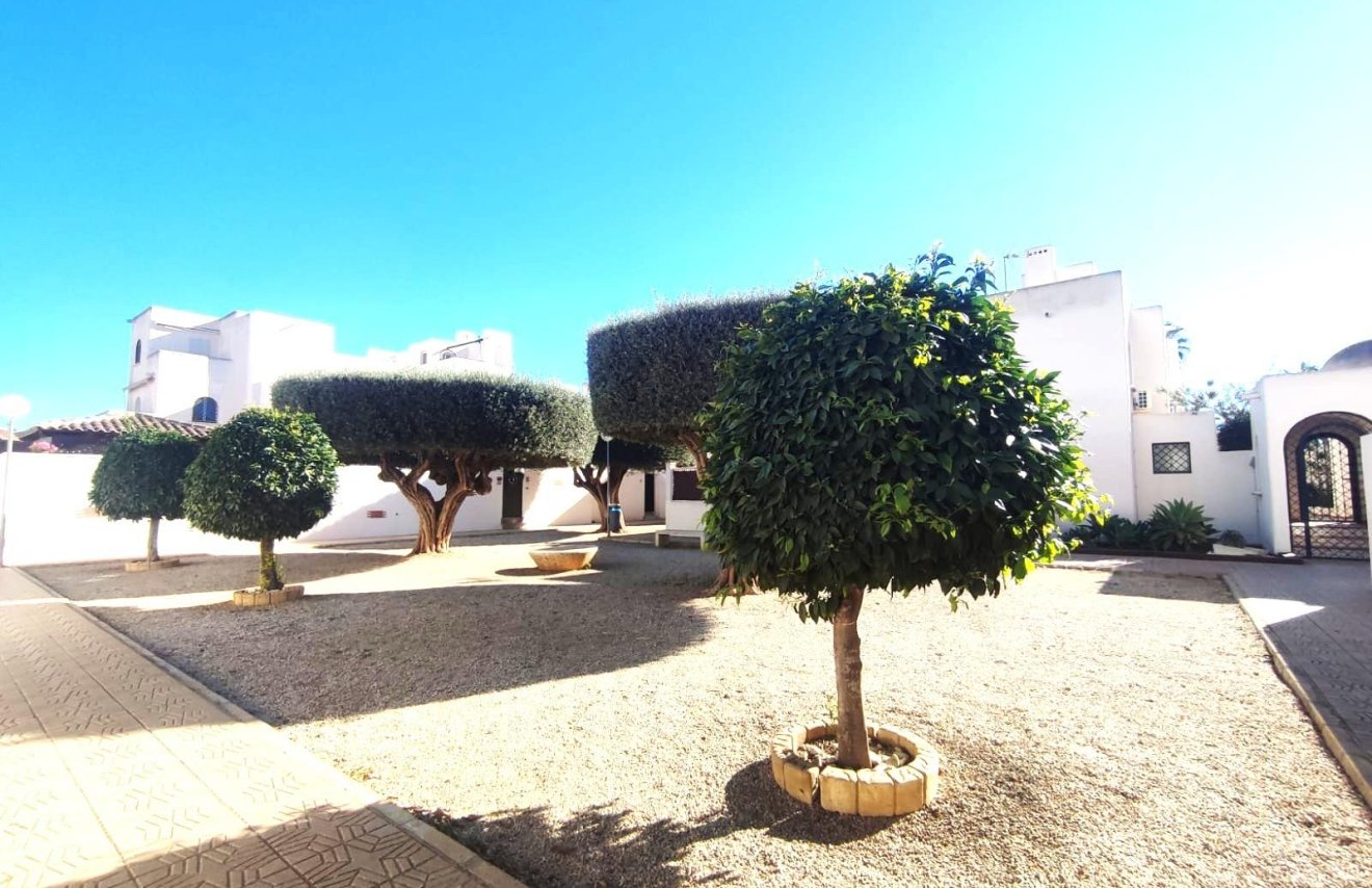 Reventa - Bungalow Planta Alta - Torrevieja - Doña ines