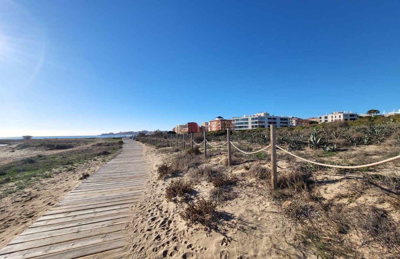 Nouvelle construction - Étude - Torrevieja - La Mata pueblo