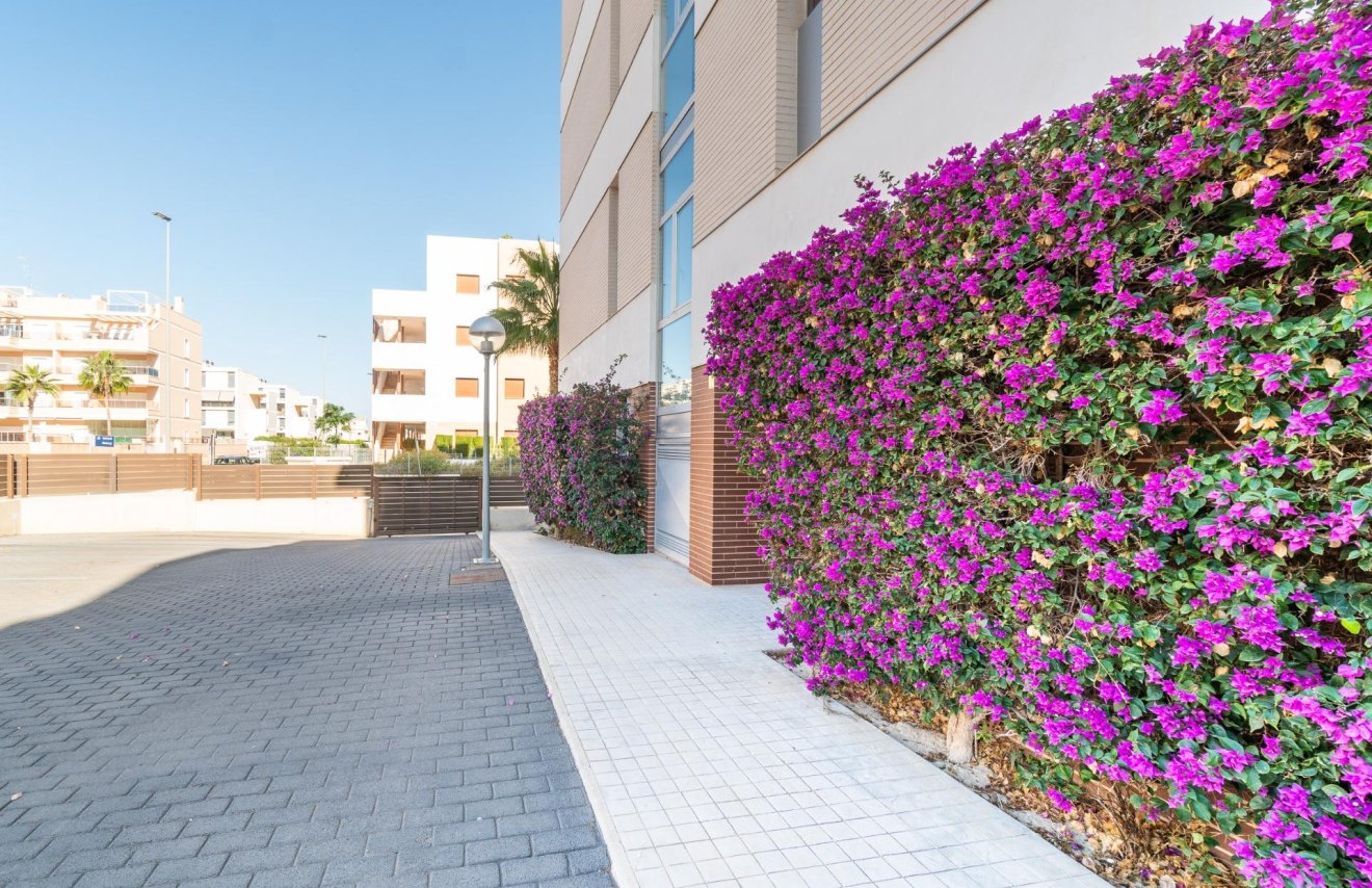 Reventa - Apartamento - Orihuela Costa - Los Dolses