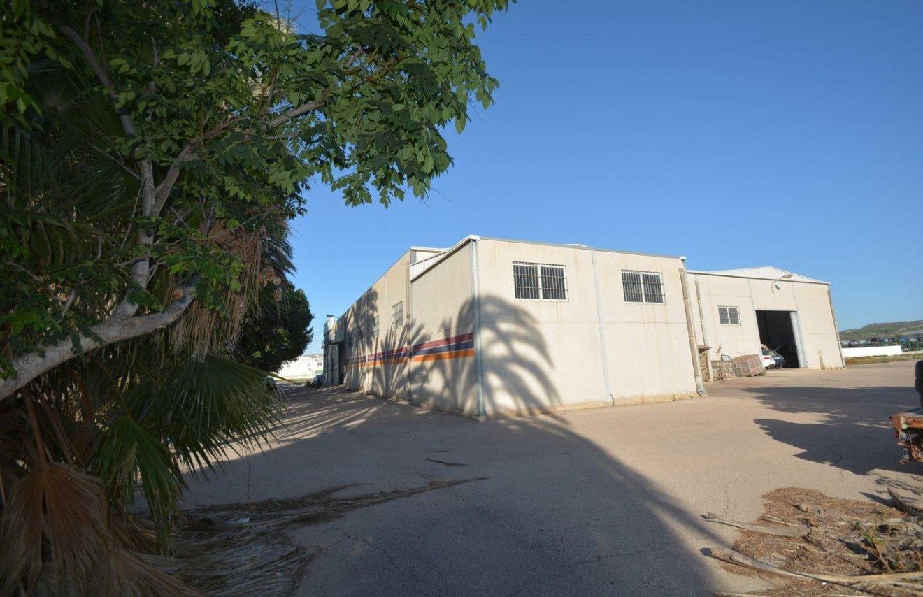 Reventa - Nave industrial - Orihuela - Correntías Bajas