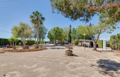 Reventa - Chalet - Orihuela - Correntías Bajas