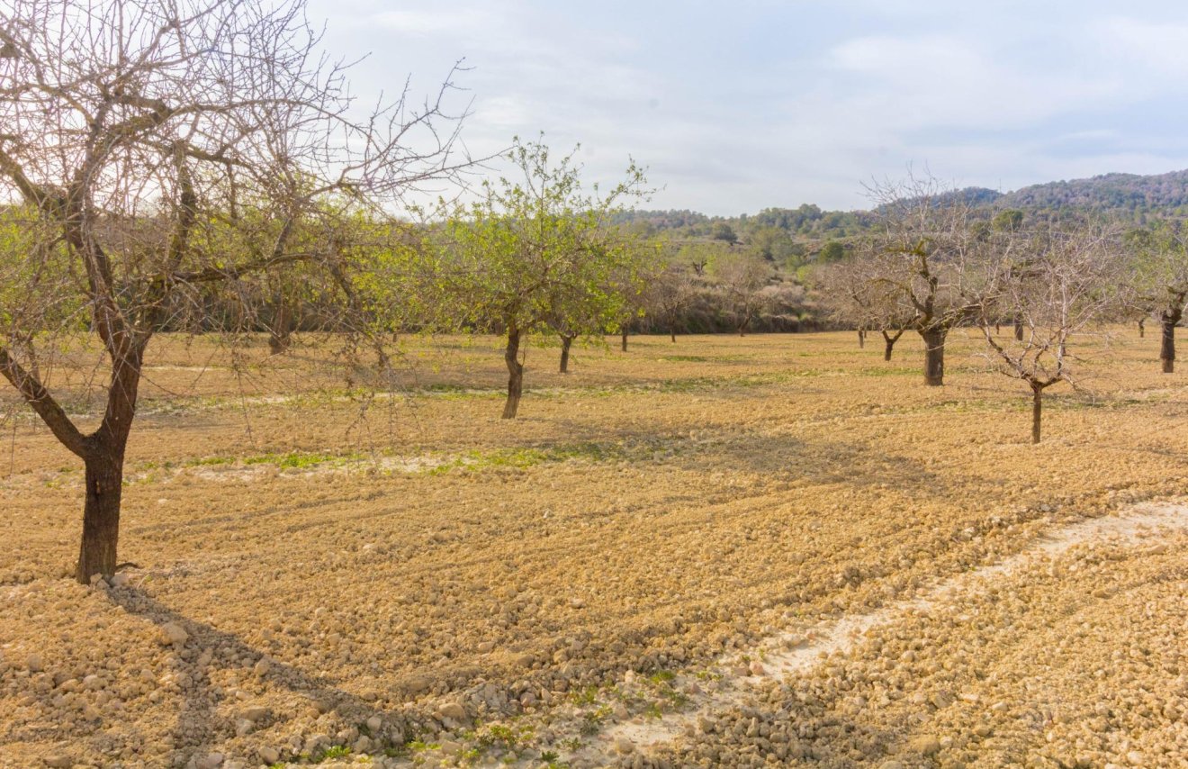 Resale - Casa con terreno - Orihuela - Desamparados-Hurchillo-Torremendo