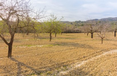 Resale - Casa con terreno - Orihuela - Desamparados-Hurchillo-Torremendo