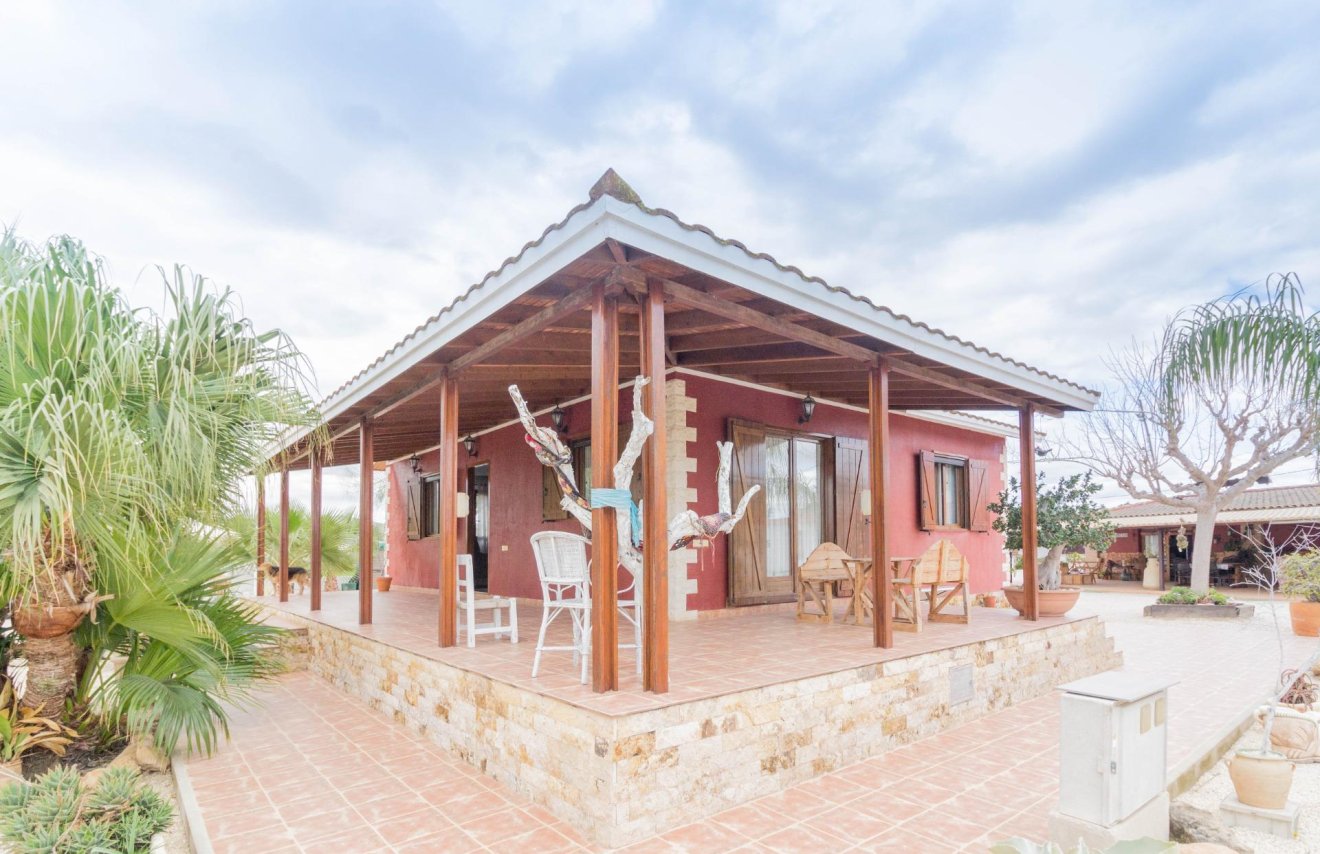 Location à long terme - Chalet - Dolores - Comunidad valenciana