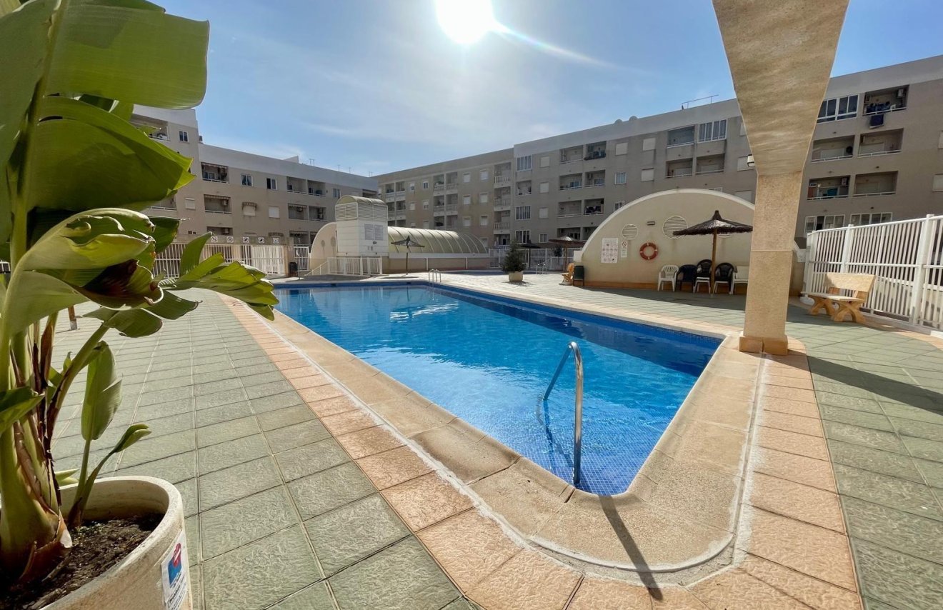 Revente - Apartamento - Torrevieja - Centro