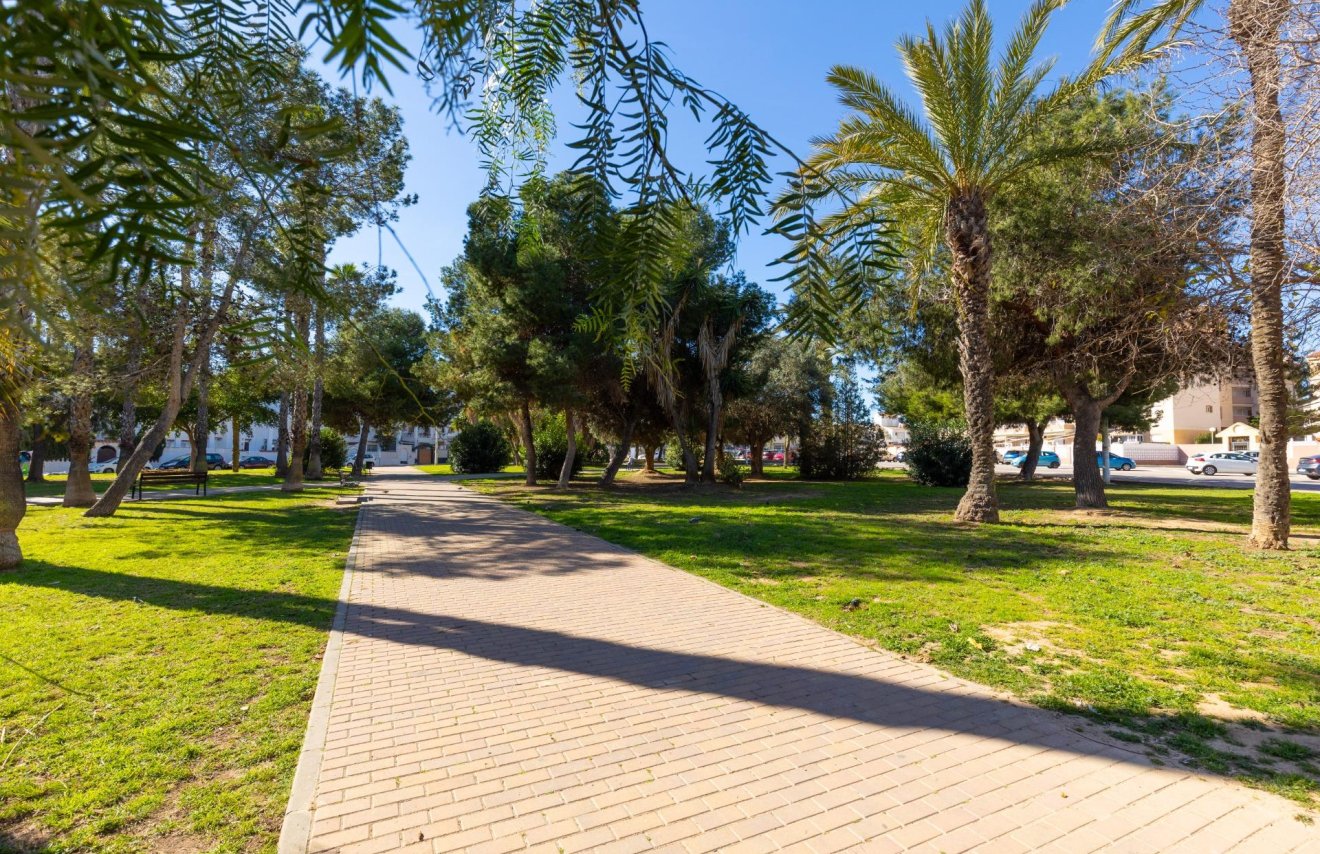 Revente - Maison de ville - Torrevieja - Calas blanca