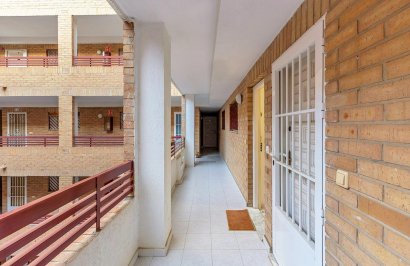 Reventa - Apartamento - Torrevieja - Centro