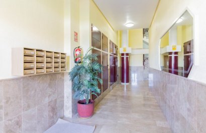 Reventa - Piso - Almoradí