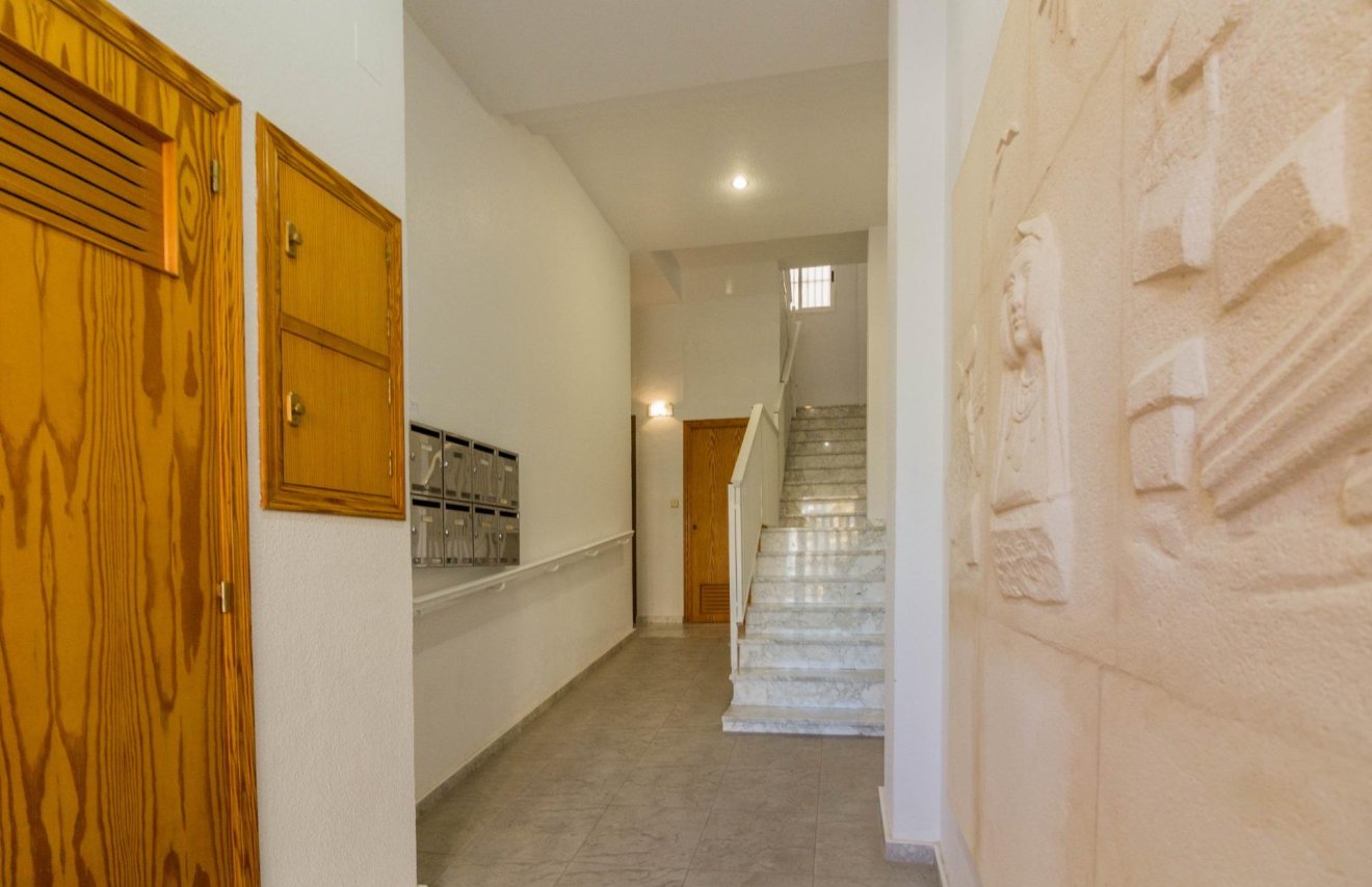 Alquiler a largo plazo - Apartamento - Guardamar del Segura - Avenidad cervante