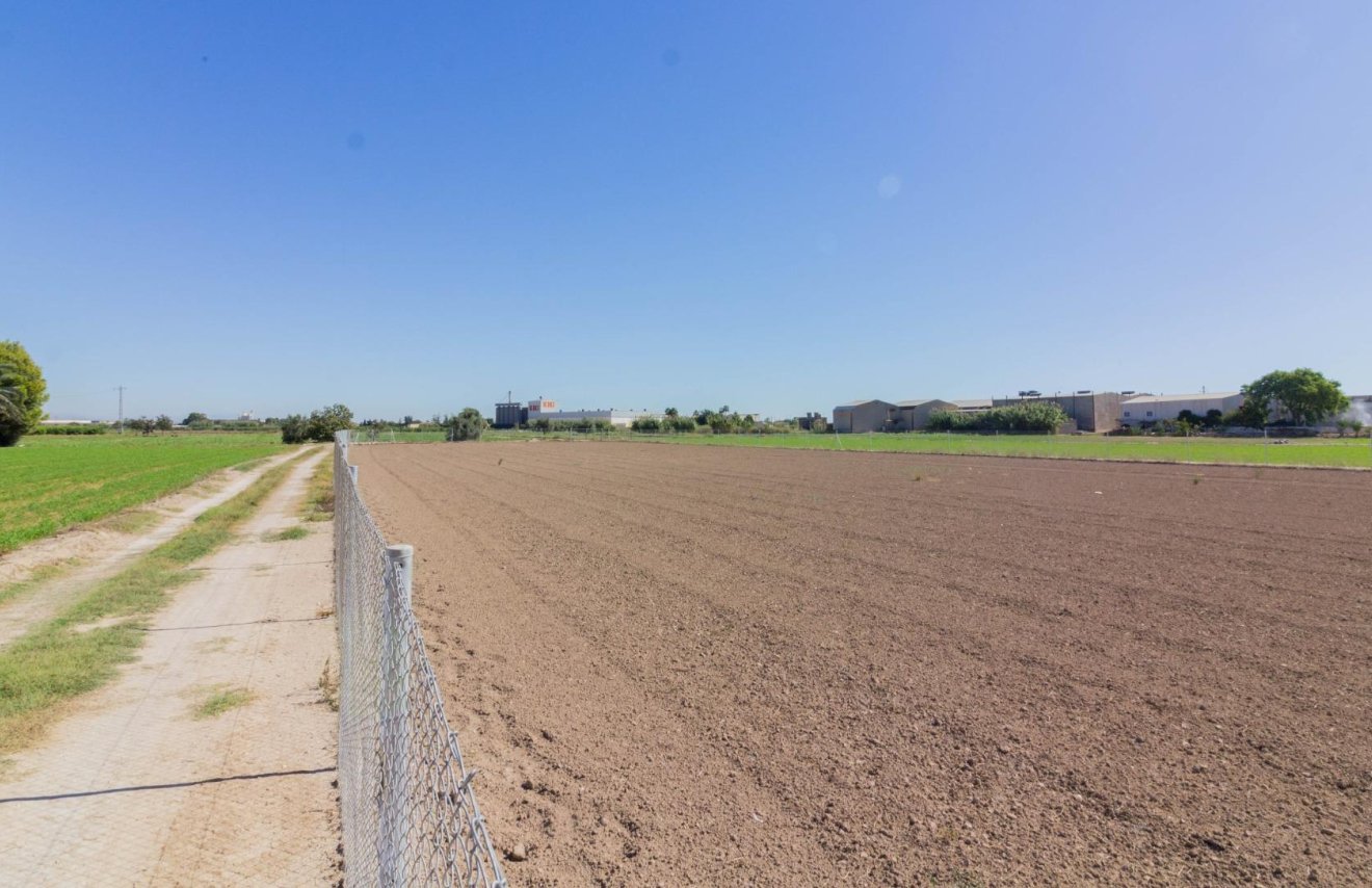 Reventa - Terreno rural - Callosa de Segura - CRA. CALLOSA - CATRAL