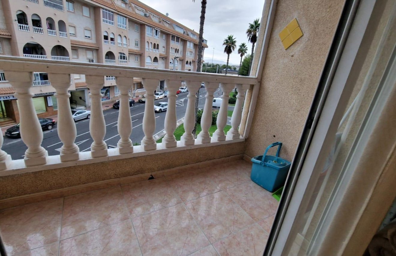 Reventa - Apartamento - Torrevieja - Centro