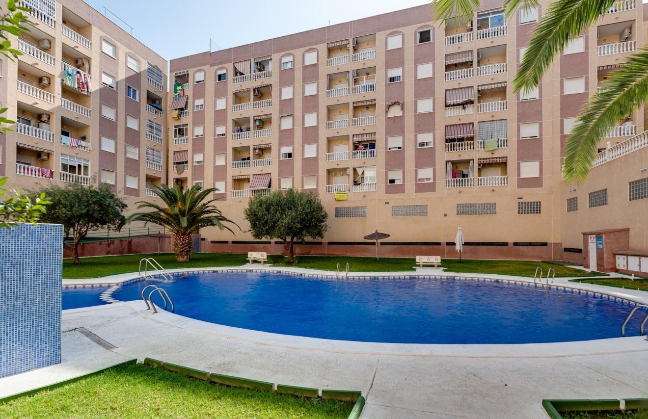 Reventa - Apartamento - Torrevieja - Centro