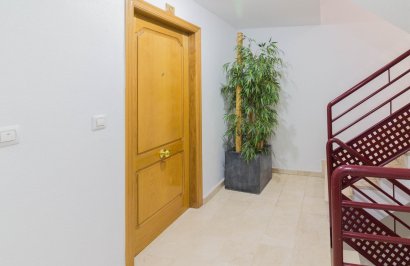 Resale - Piso - Orihuela - Zona Centro