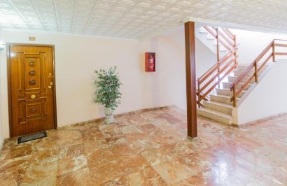 Resale - Piso - Callosa de Segura - AV- CONSTITUCION