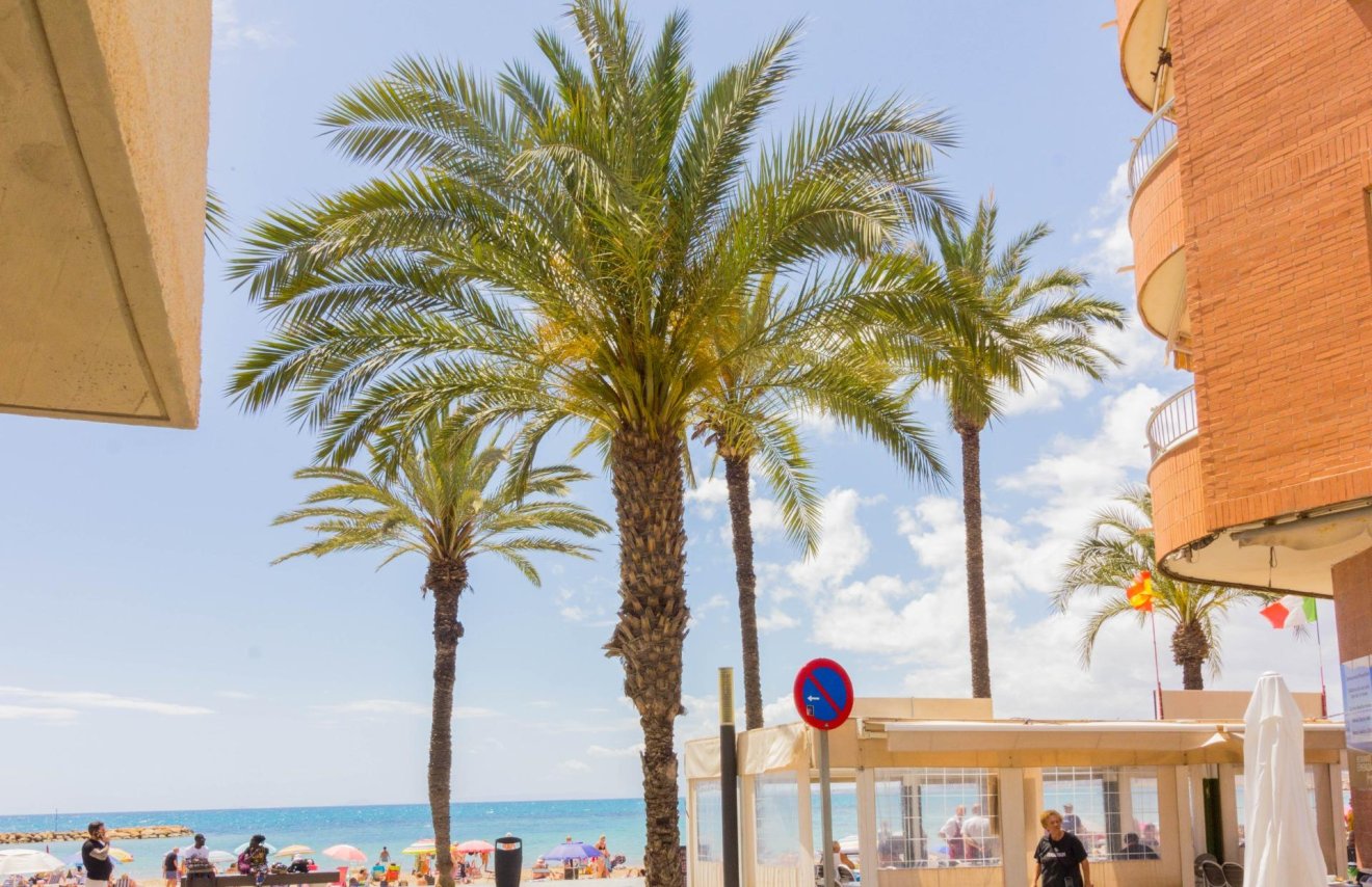 Resale - Penthouse - Torrevieja - Playa del Cura