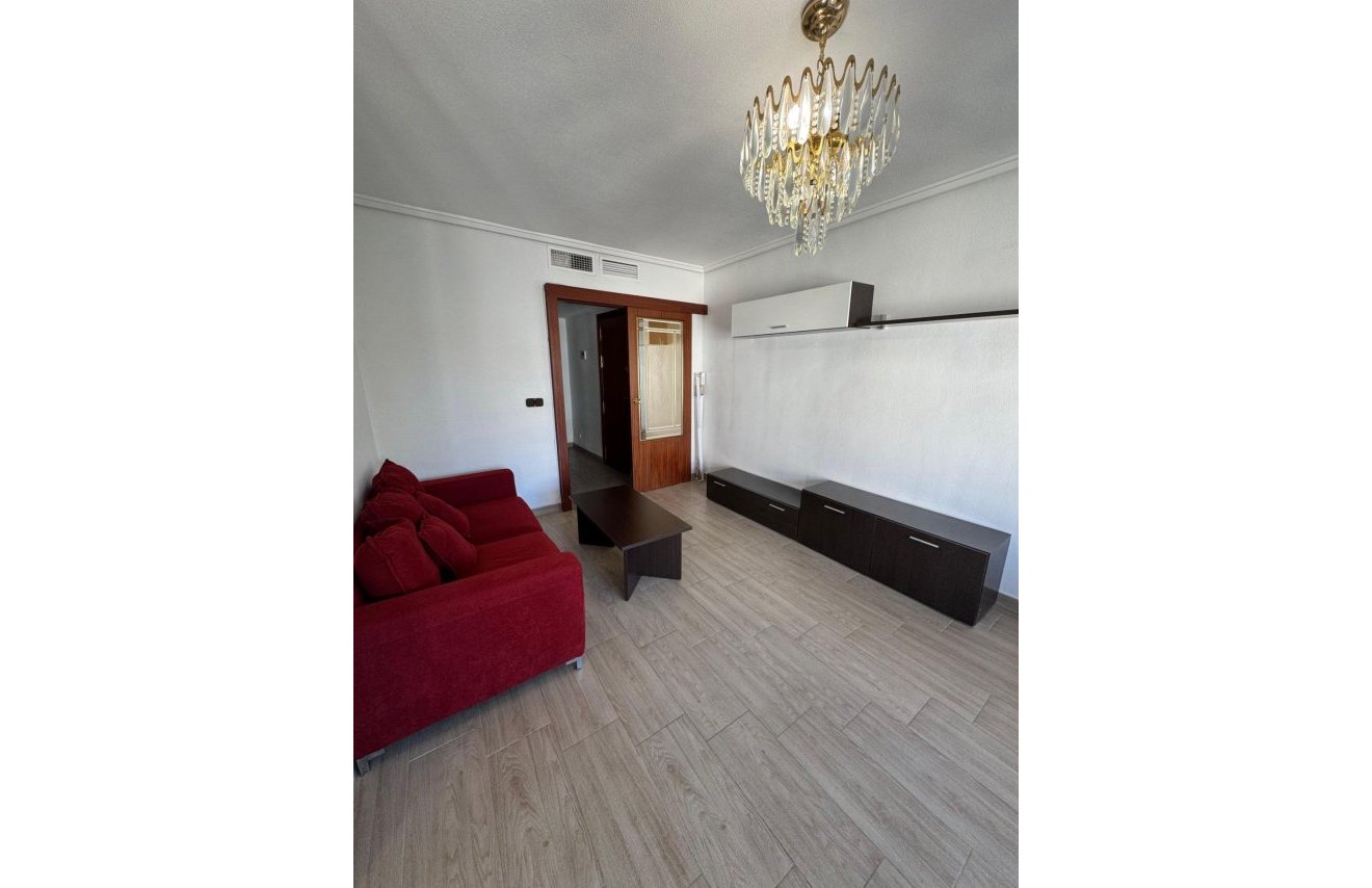 Alquiler a largo plazo - Piso - Orihuela - Zona Centro