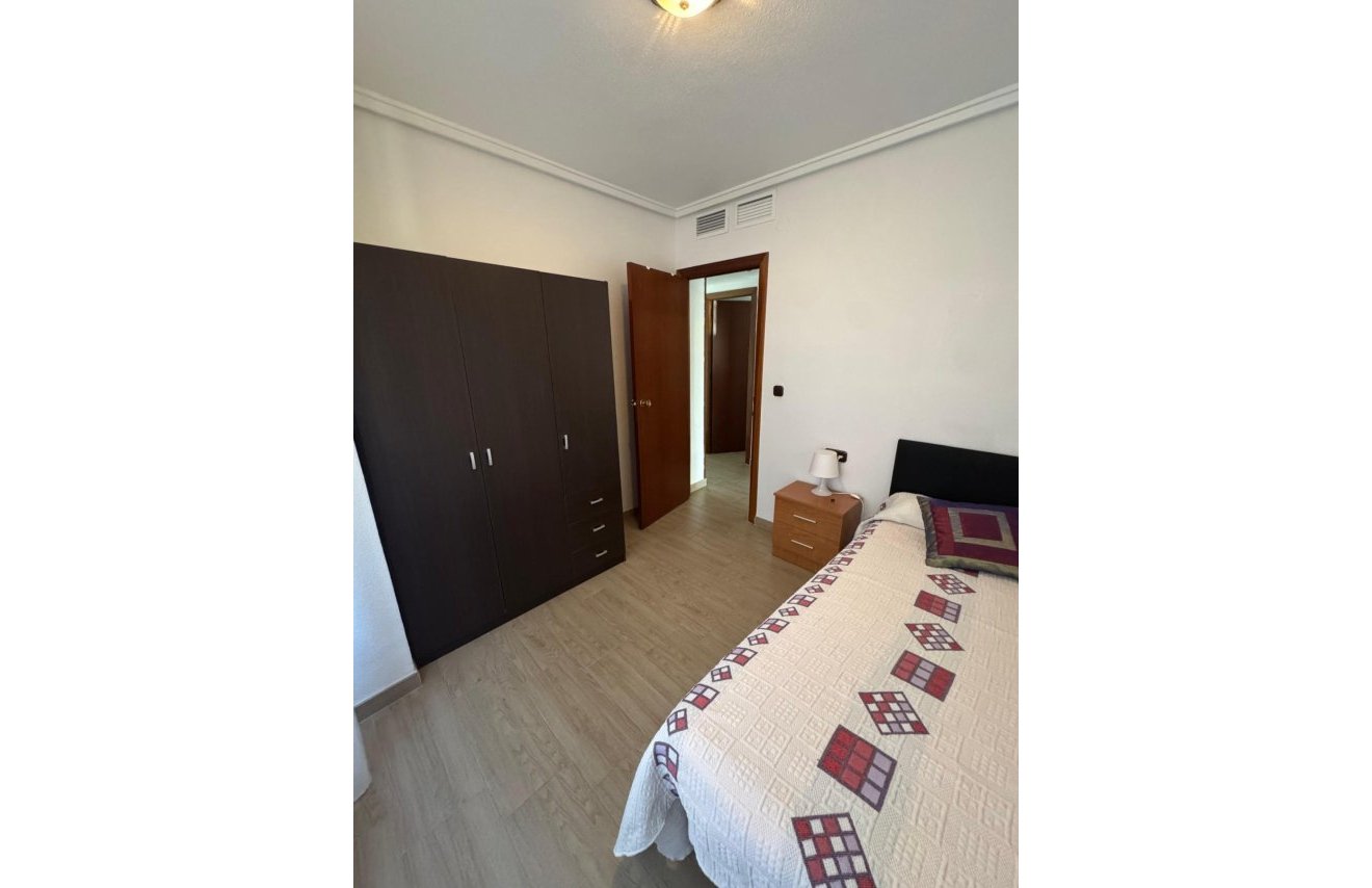 Alquiler a largo plazo - Piso - Orihuela - Zona Centro