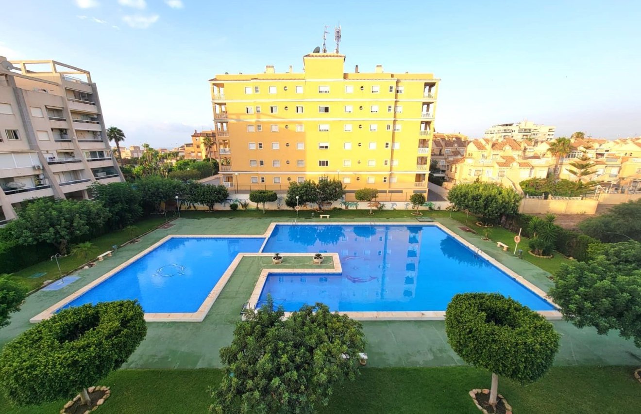 Reventa - Planta baja - Torrevieja - Aguas Nuevas