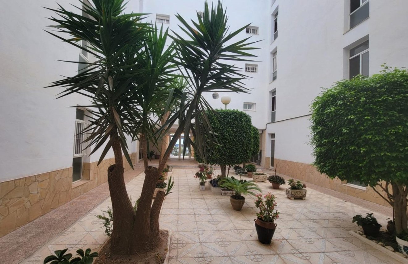 Reventa - Planta baja - Torrevieja - Aguas Nuevas