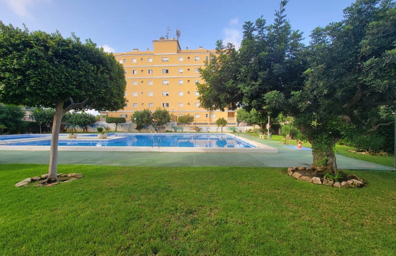 Reventa - Planta baja - Torrevieja - Aguas Nuevas