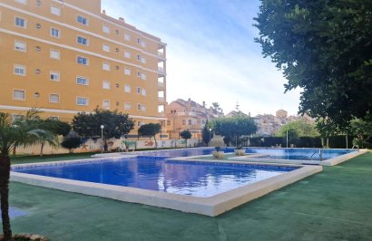 Reventa - Planta baja - Torrevieja - Aguas Nuevas