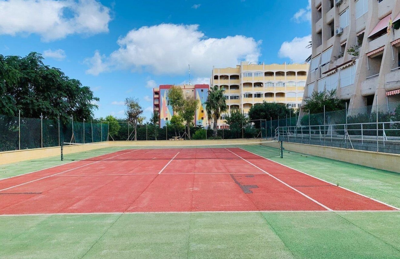 Reventa - Planta baja - Torrevieja - Aguas Nuevas