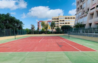 Reventa - Planta baja - Torrevieja - Aguas Nuevas