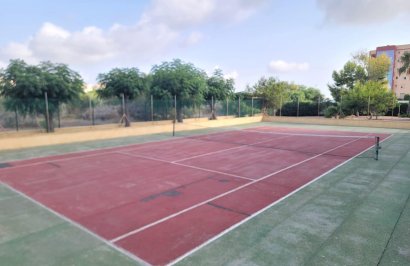 Reventa - Planta baja - Torrevieja - Aguas Nuevas