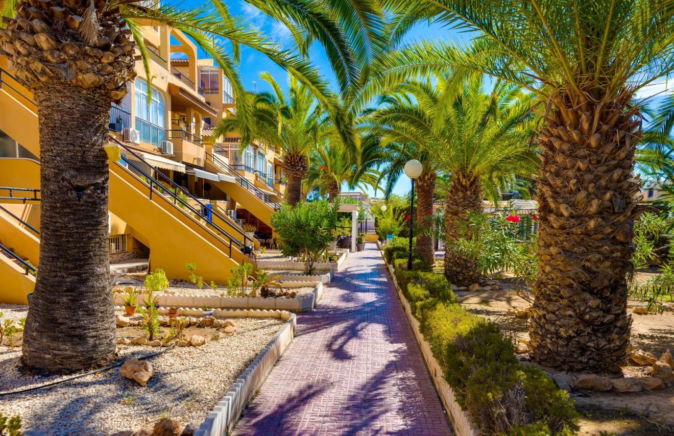 Reventa - Apartamento - Torrevieja - Torreblanca
