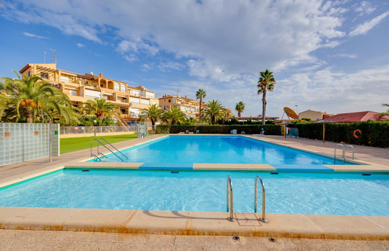 Reventa - Apartamento - Torrevieja - Torreblanca