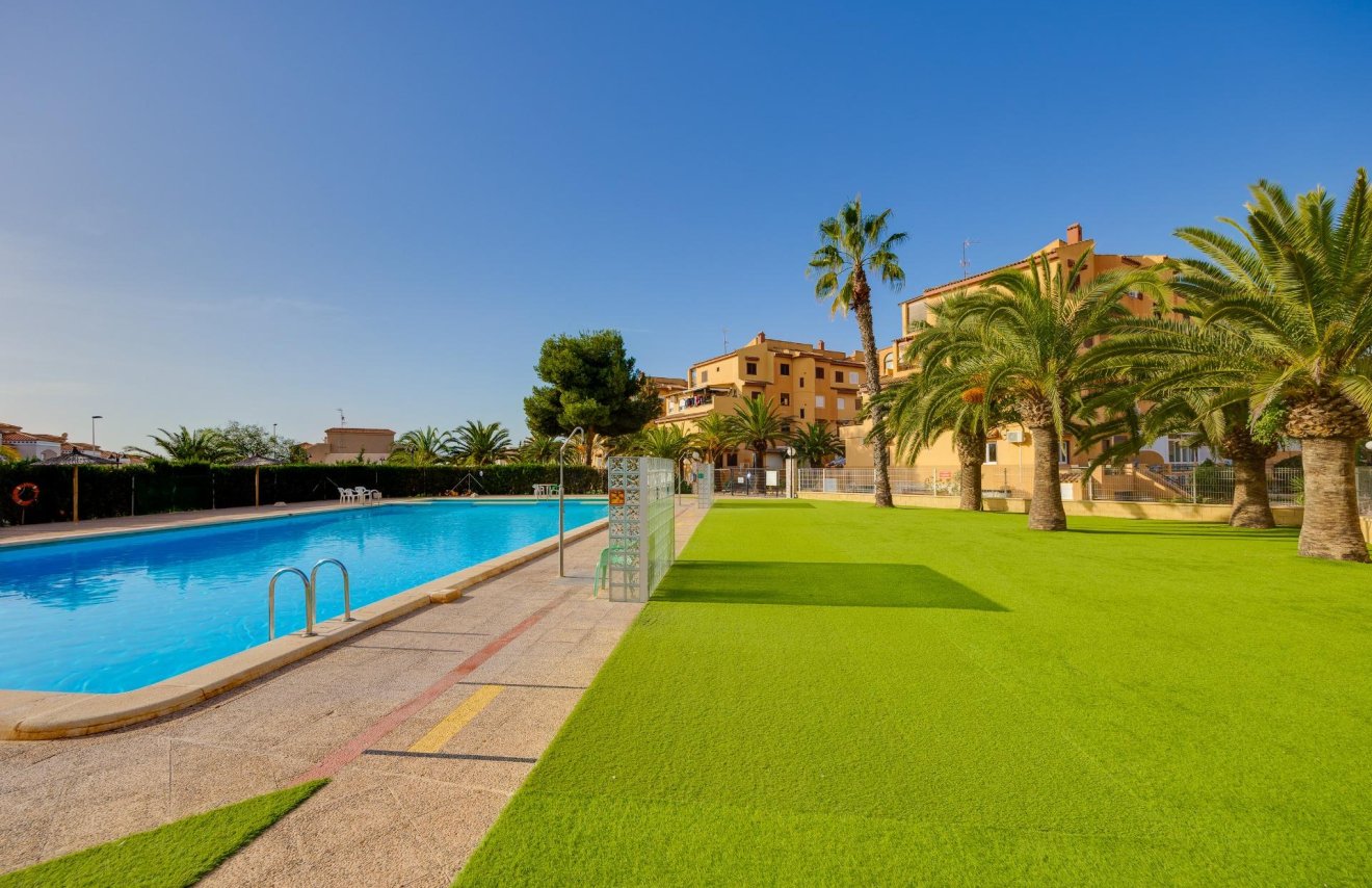 Reventa - Apartamento - Torrevieja - Torreblanca