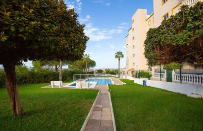 Reventa - Apartamento - Torrevieja - Torreblanca
