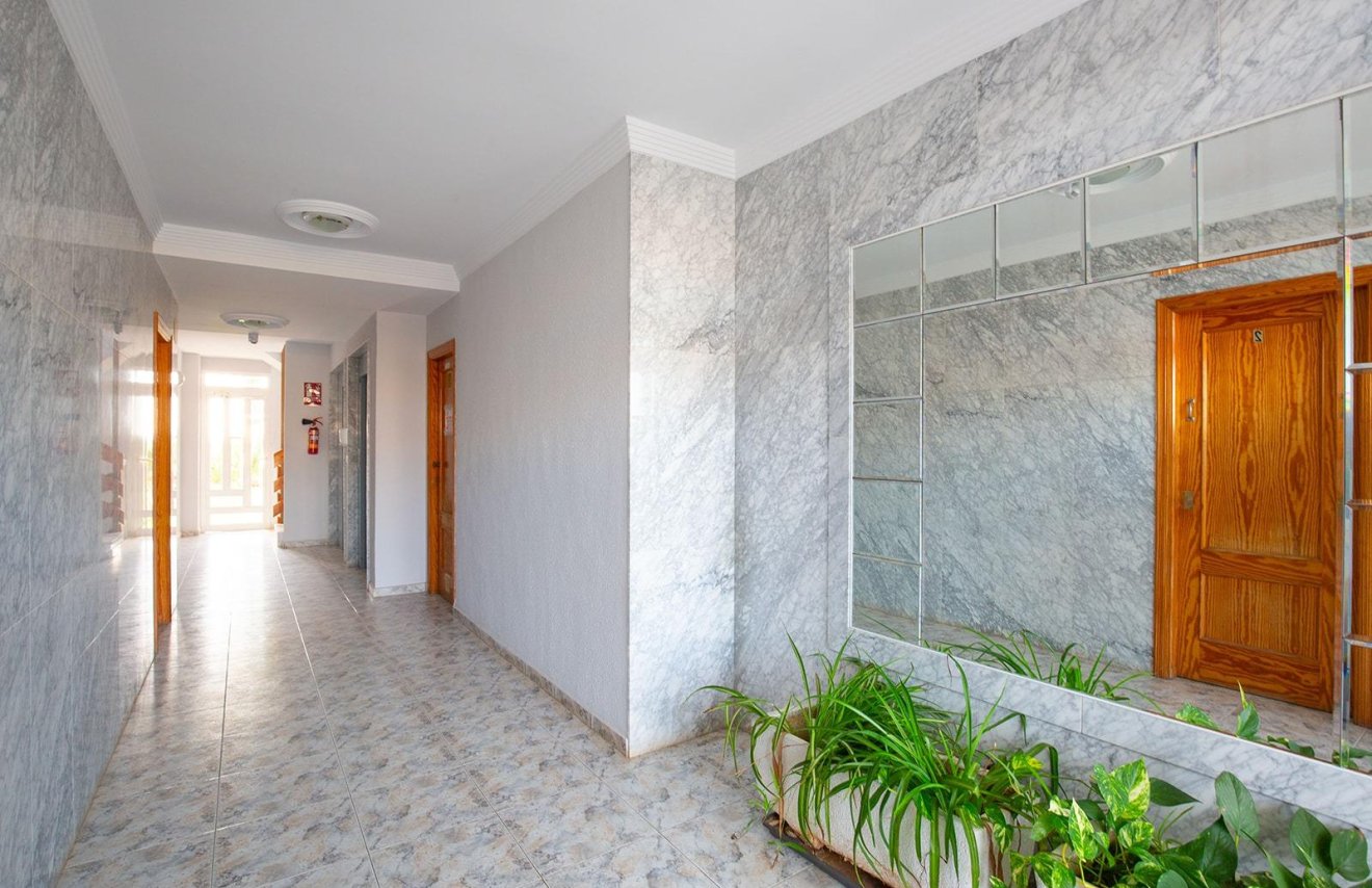 Reventa - Apartamento - Torrevieja - Torreblanca