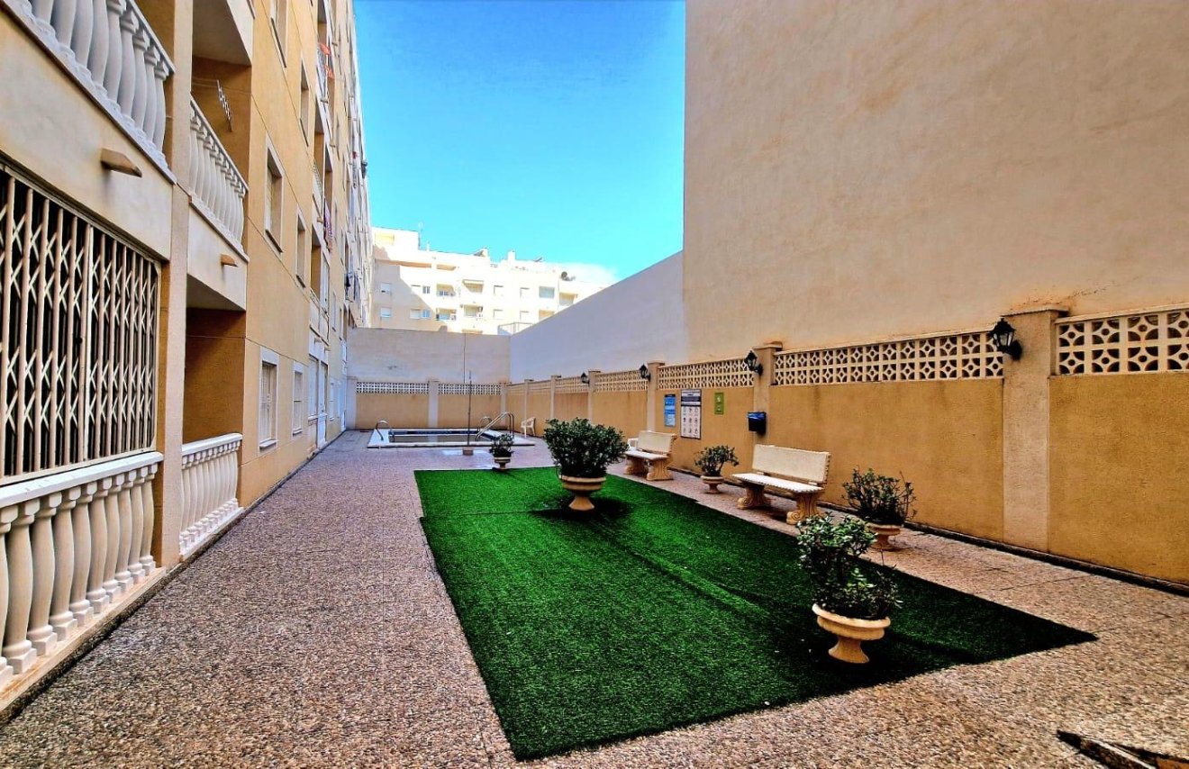 Reventa - Piso - Torrevieja - Centro