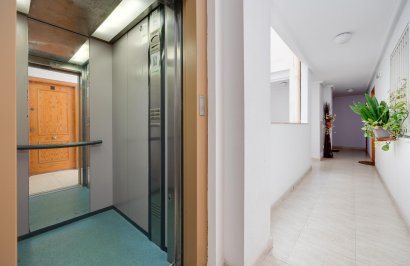 Reventa - Apartamento - Torrevieja - Habaneras