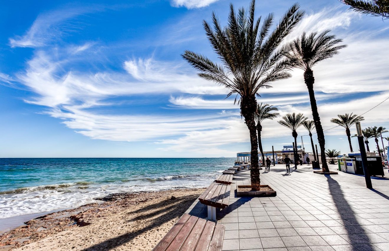 Reventa - Apartamento - Torrevieja - Habaneras