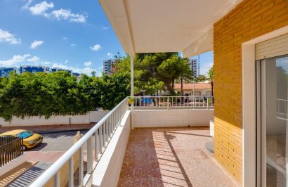 Reventa - Apartamento - Torrevieja - Punta prima