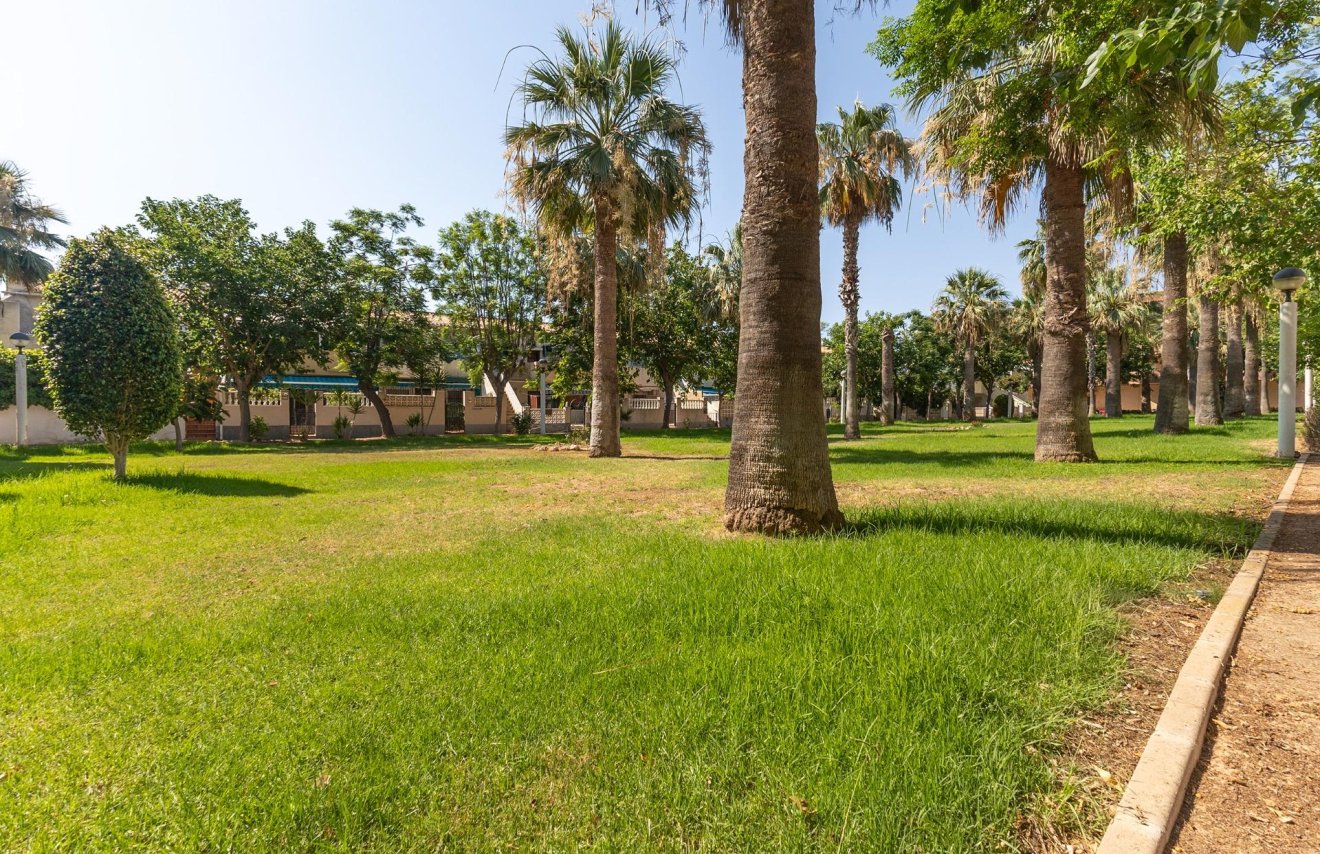 Reventa - Bungalow Planta Baja - Orihuela Costa - La Regia
