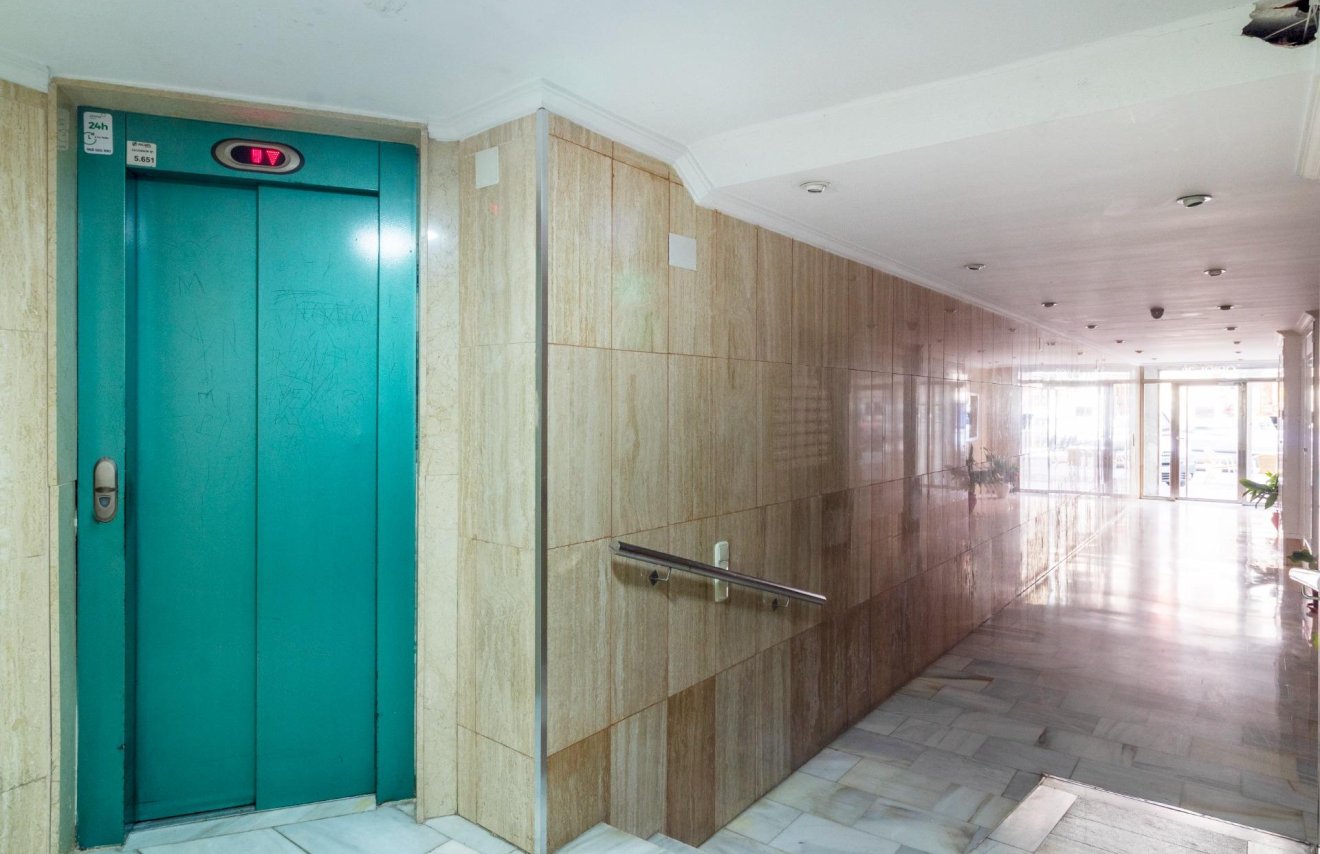 Alquiler a largo plazo - Local comercial - Orihuela - Zona Centro