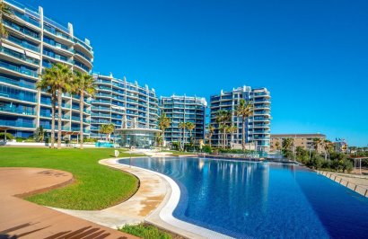 Reventa - Apartamento - Torrevieja - Punta prima