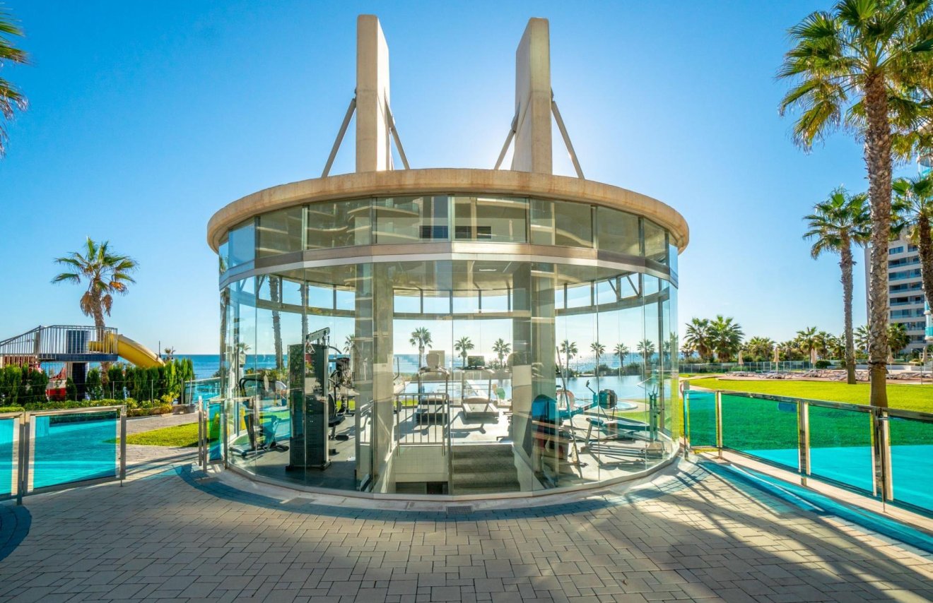 Reventa - Apartamento - Torrevieja - Punta prima