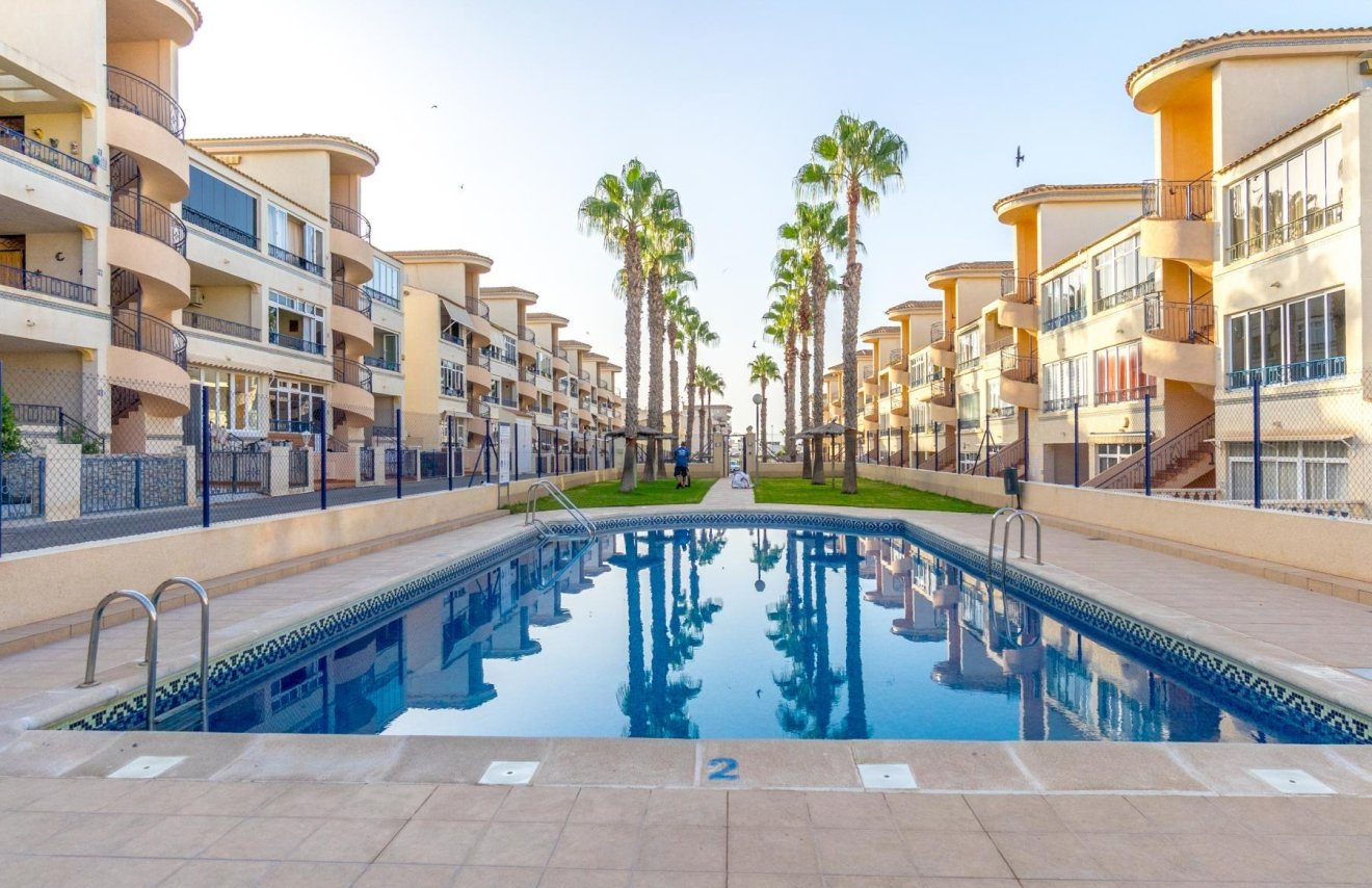 Reventa - Apartamento - Orihuela - Los Balcones Y los Altos