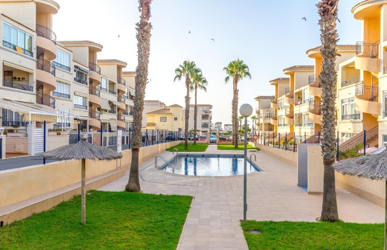 Reventa - Apartamento - Orihuela - Los Balcones Y los Altos