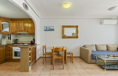 Reventa - Planta baja - Torrevieja - El molino