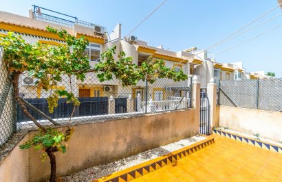 Reventa - Planta baja - Torrevieja - El molino