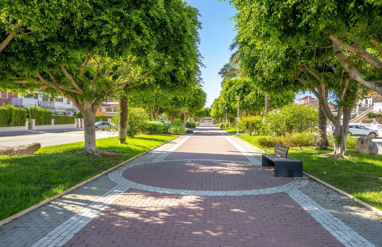 Reventa - Planta baja - Orihuela Costa - Zeniamar-Horizonte-La Campana