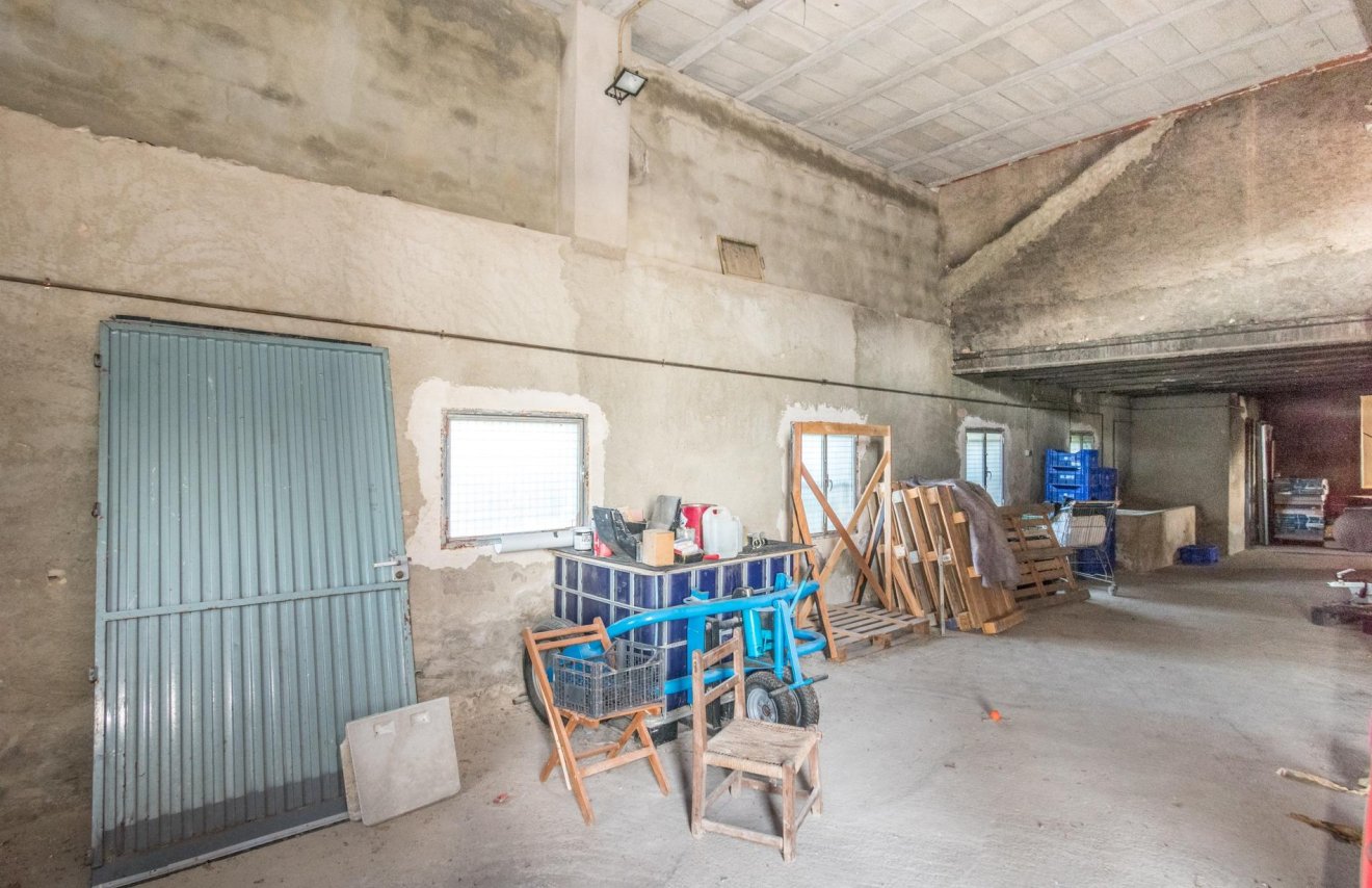 Reventa - Nave industrial - Benejúzar - Comunidad valenciana